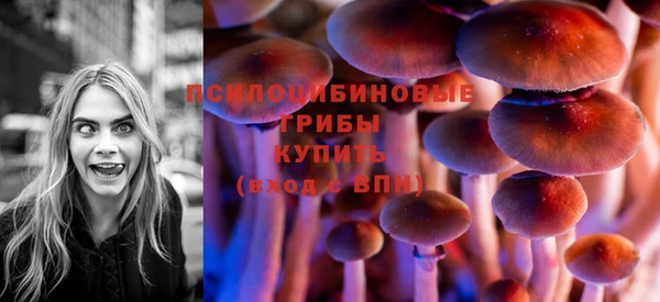 марки lsd Гусь-Хрустальный