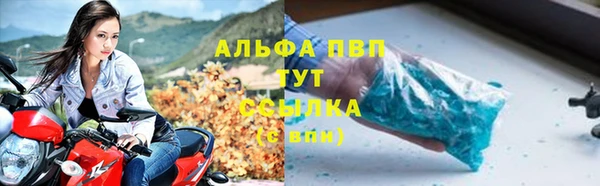 шишки Гусев
