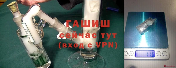 шишки Гусев