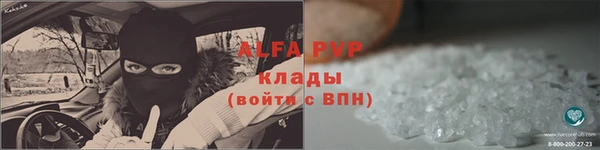 шишки Гусев