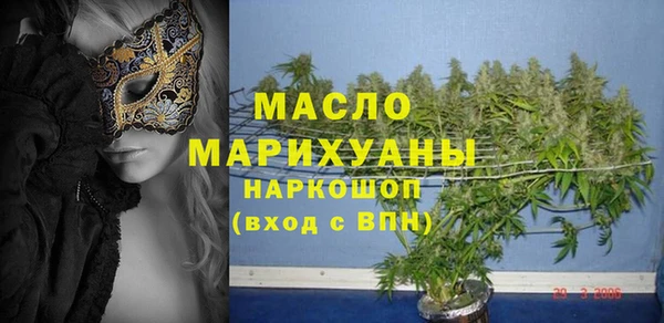 шишки Гусев