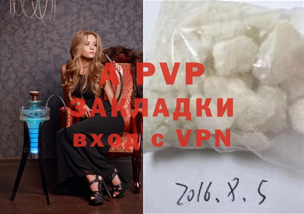 шишки Гусев