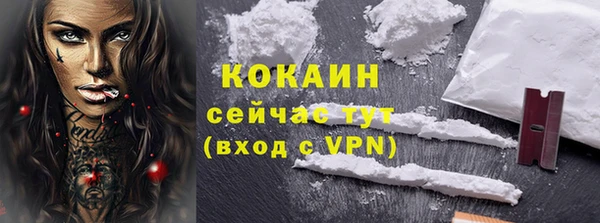 шишки Гусев