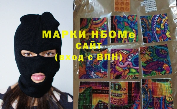 шишки Гусев