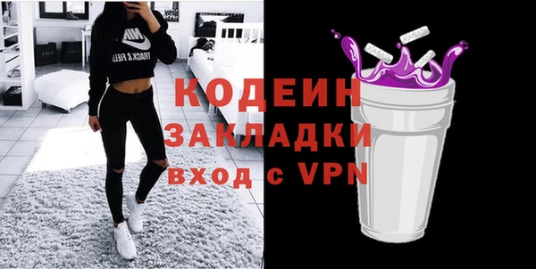 шишки Гусев