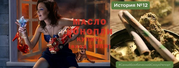 шишки Гусев