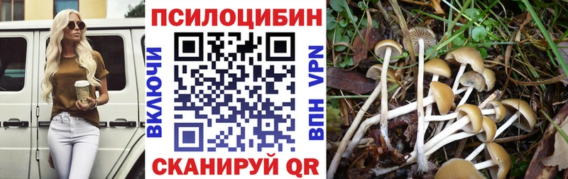 shop клад  blacksprut как войти  Каргополь  Псилоцибиновые грибы GOLDEN TEACHER 